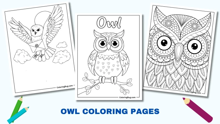 50 Owl Coloring Pages (Free printable PDFs)