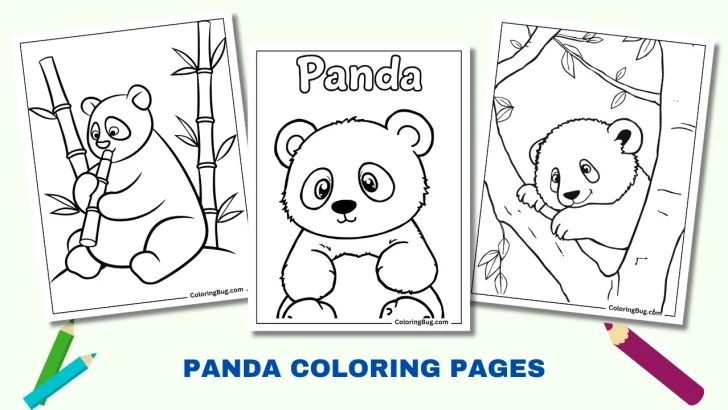 24 Panda Coloring Pages (Free Printable PDFs)