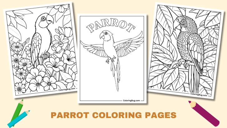 50 Parrot Coloring Pages (Free Printable PDFs)