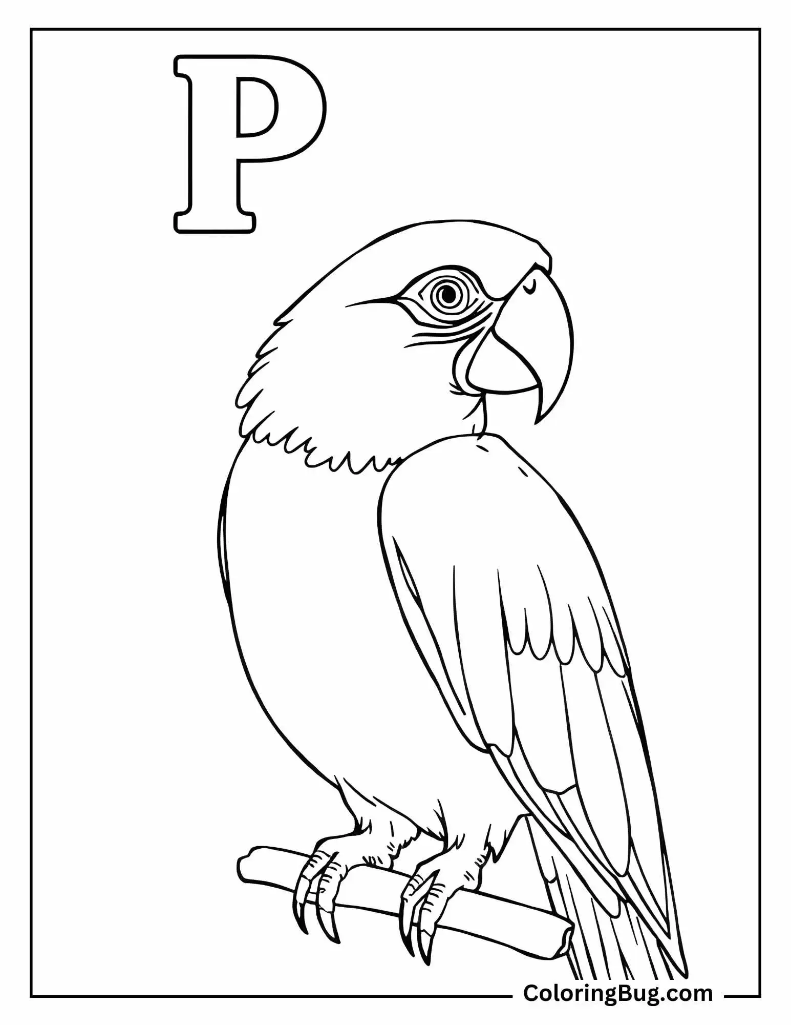 Parrot With Letter "P" coloring Sheet