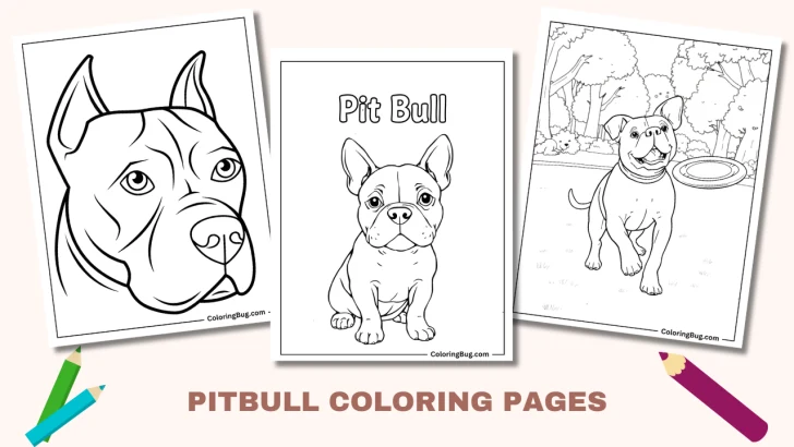 30 Pitbull Coloring Pages (Free Printable PDFs)