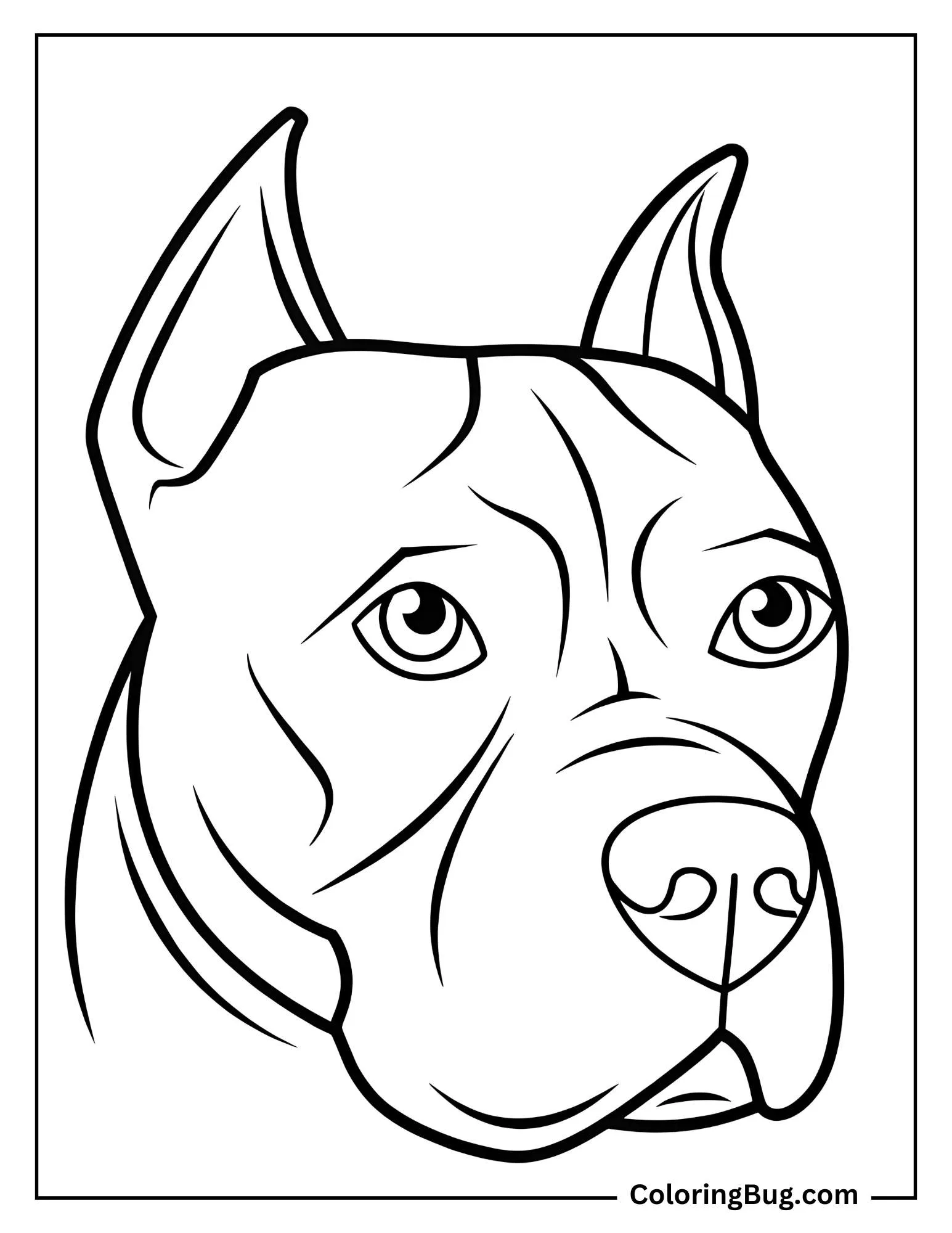 Pitbull Face Coloring Sheet