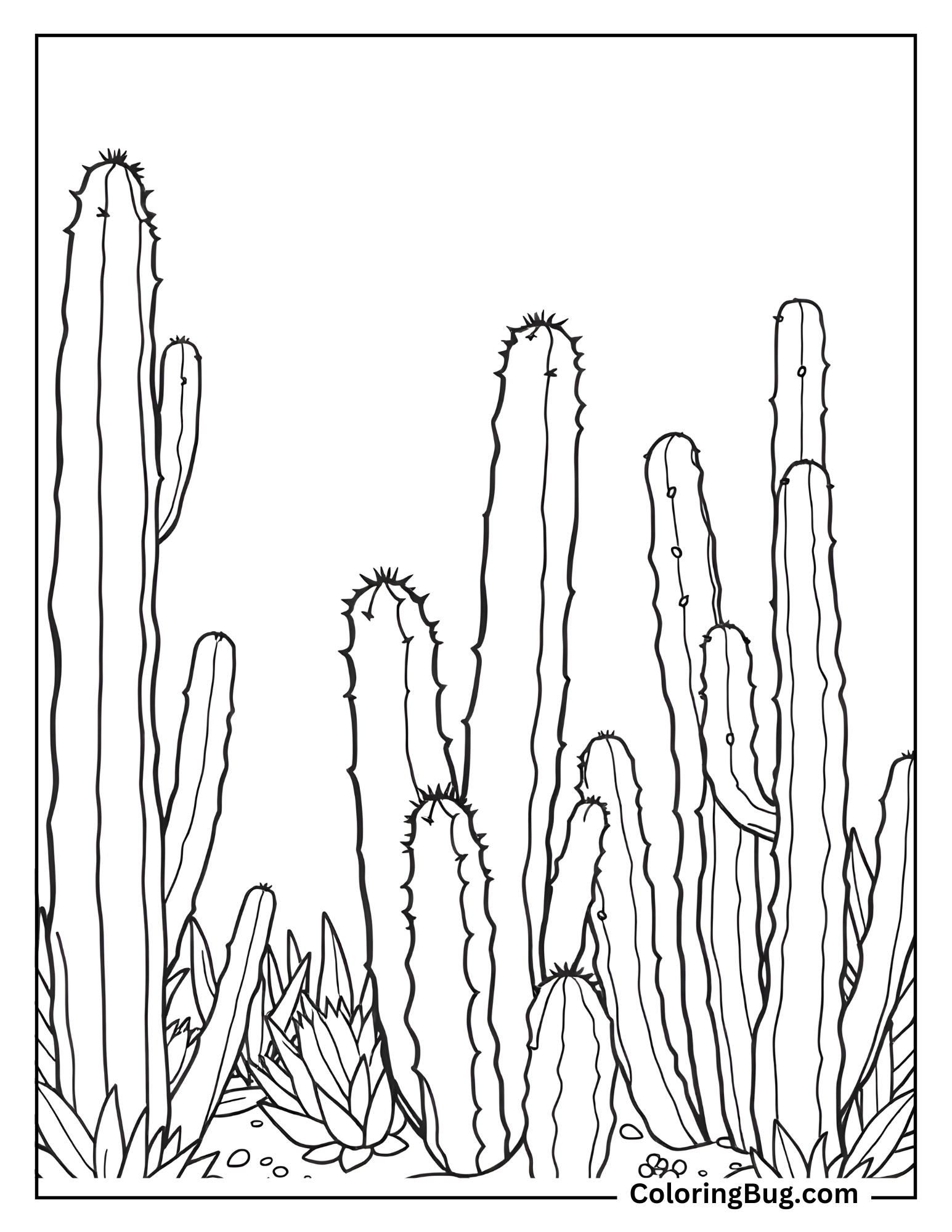 Realistic Cactus Coloring Sheet