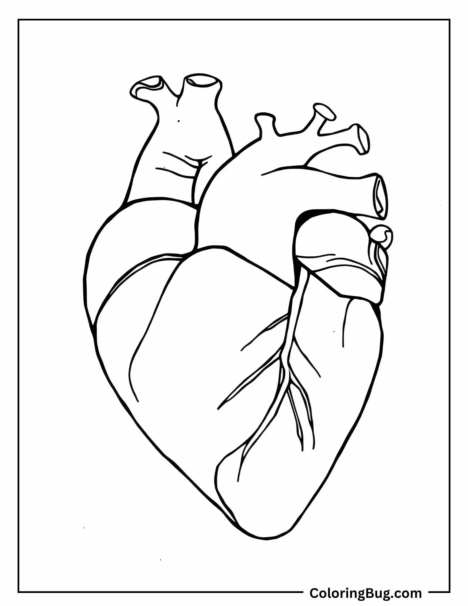 Realistic Heart Coloring Sheet