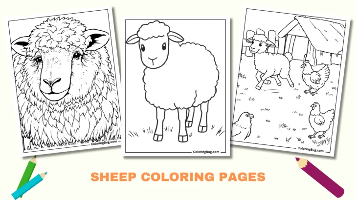 +44 Sheep Coloring Pages (Free Printable PDFs)