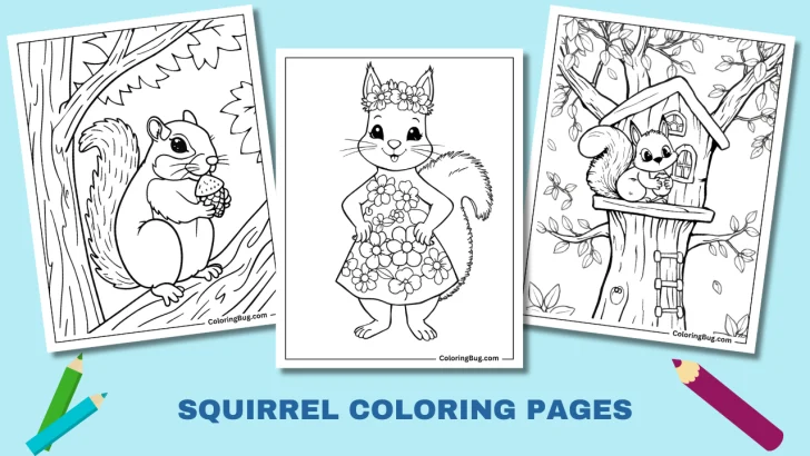 48 Squirrel Coloring Pages (Free Printable PDFs)