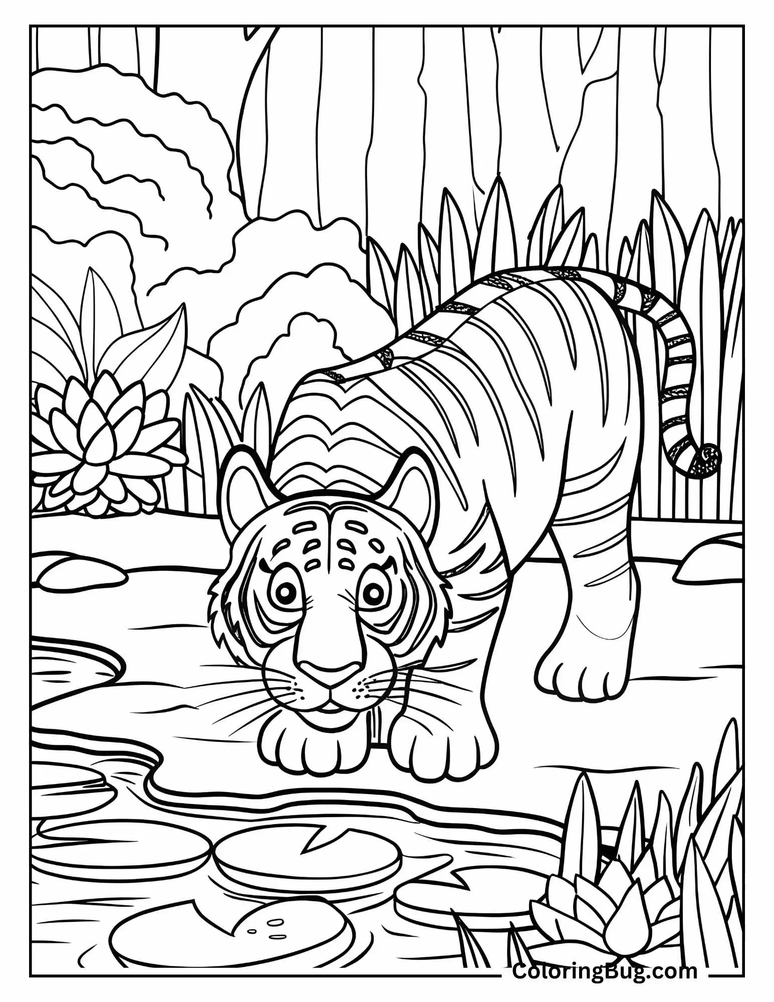  Tiger Drinking From Pond Coloring Sheet