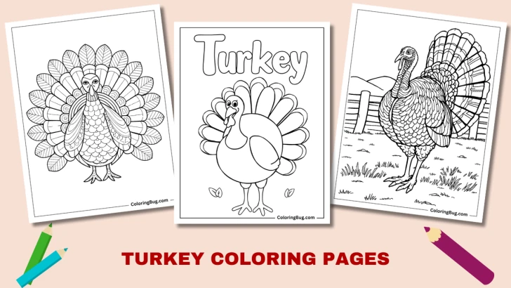 50 Turkey Coloring Pages (Free Printable PDFs)