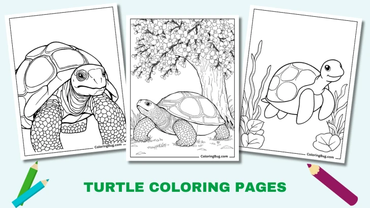 50 Turtle Coloring Pages (Free Printable PDFs)