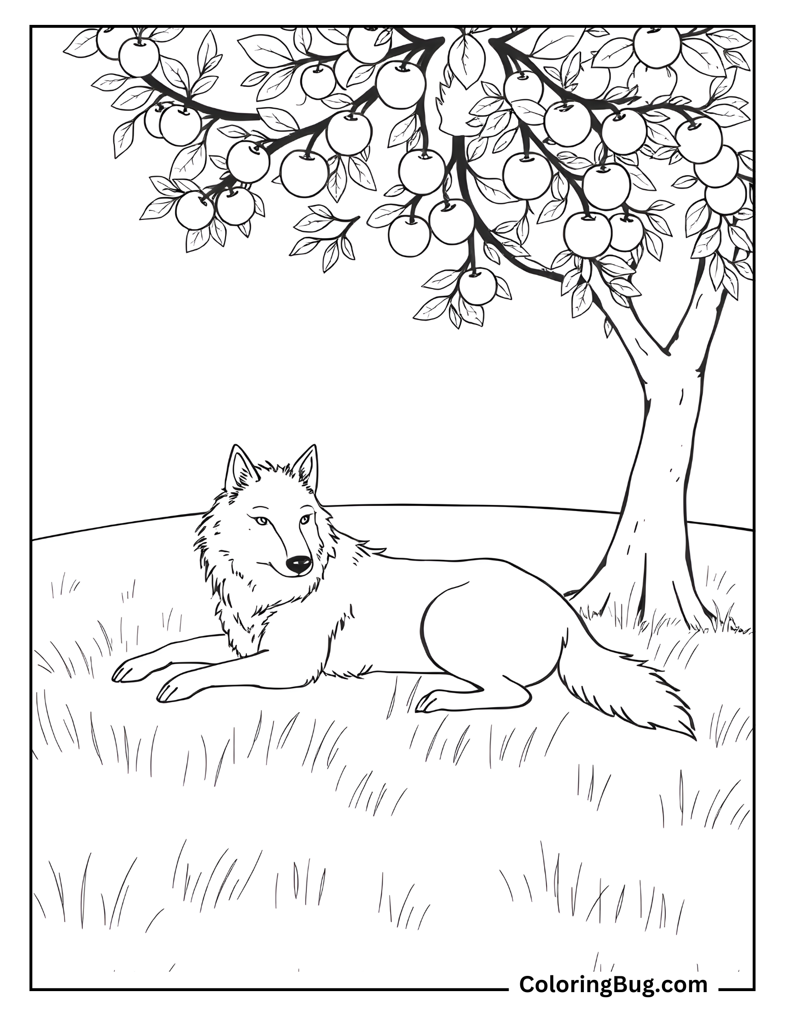 Wolf Resting Under Apple Tree Coloring sheet