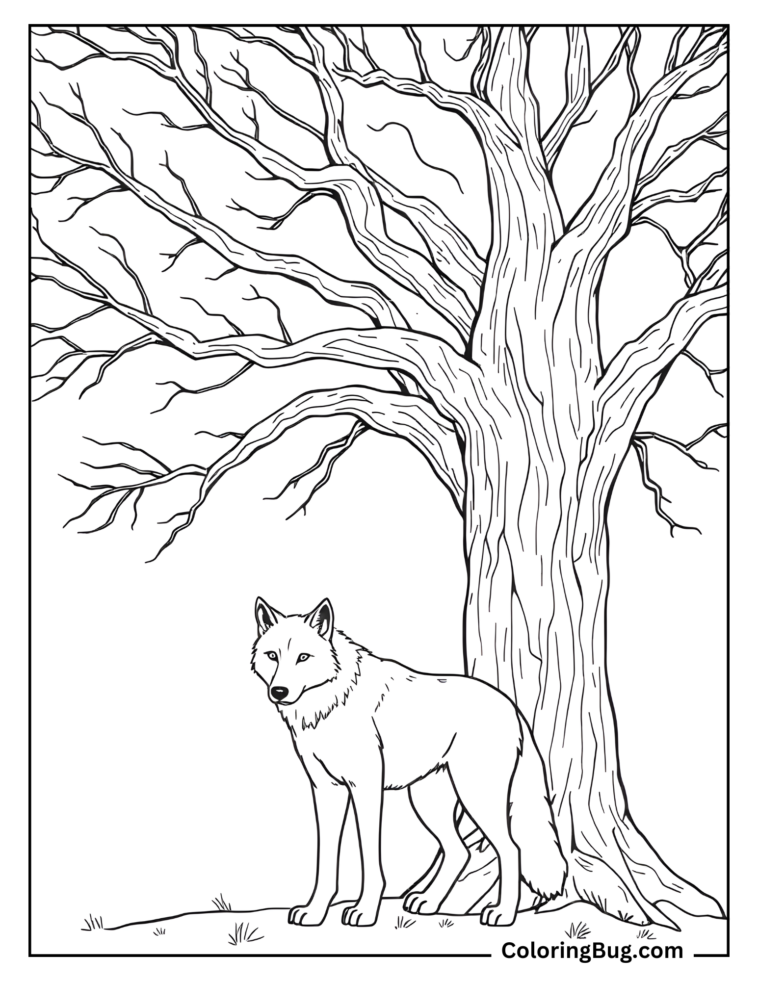 Wolf Standing Next to a Big Tree Coloring sheet