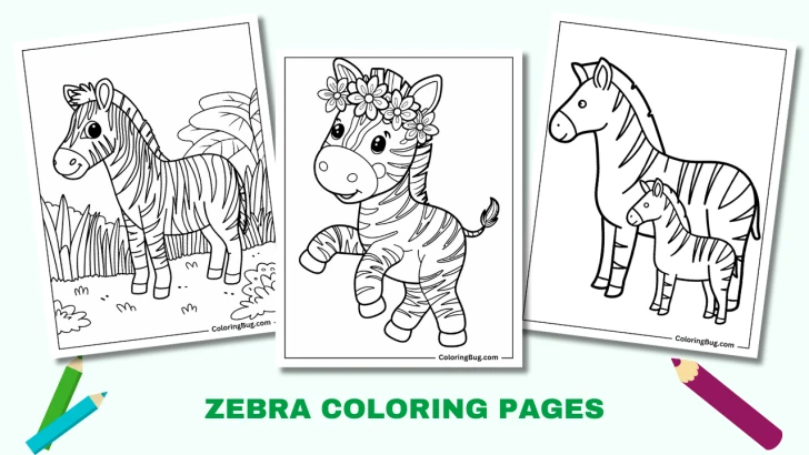 28 Zebra Coloring Pages (Free Printable PDFs)