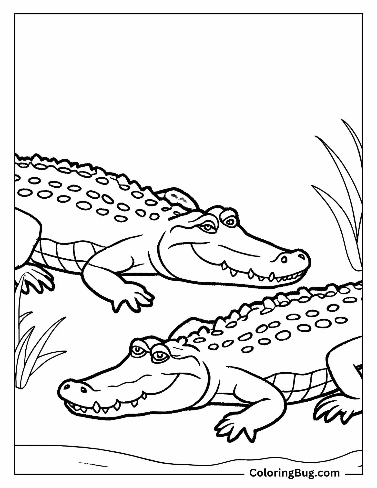2 Crocodile Together Coloring Sheet