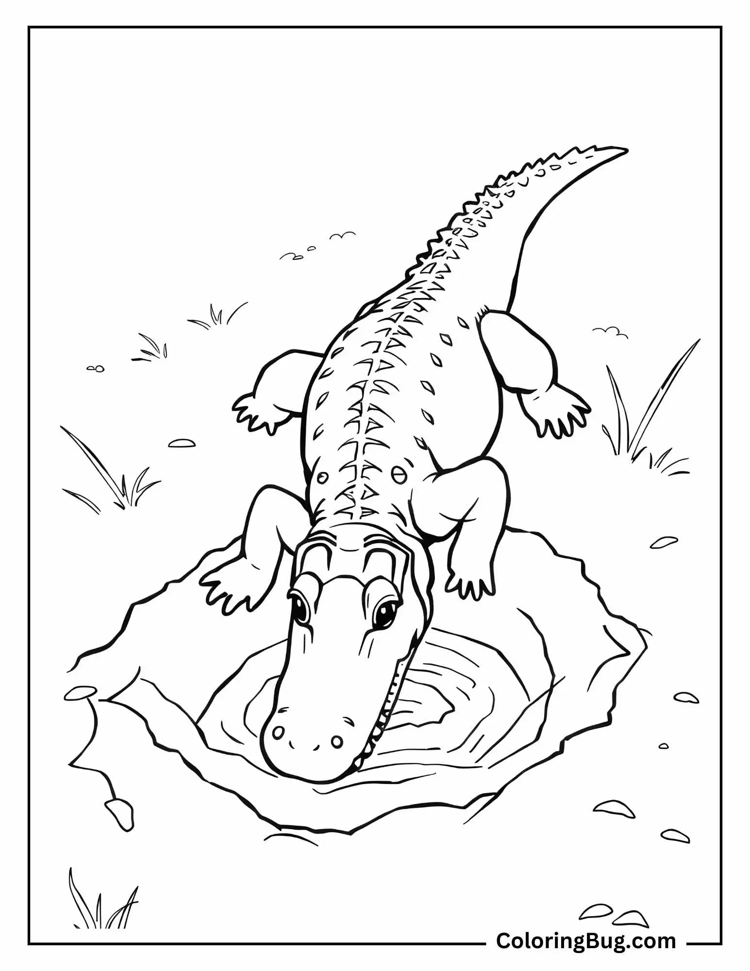 Alligator Digging a Hole to Create a Cooling Den in Mud Coloring Sheet