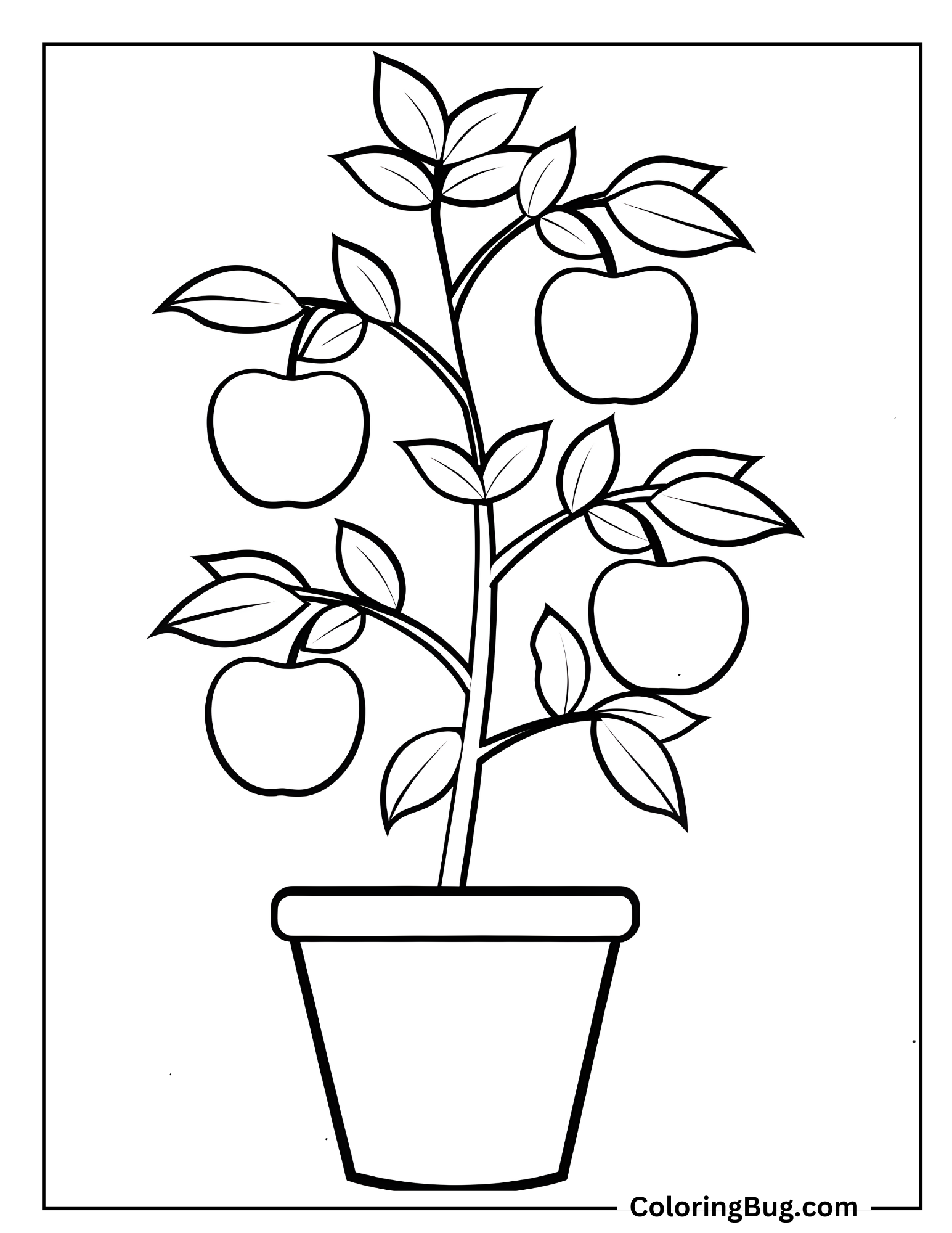 Apple Tree In Pot Coloring Sheet
