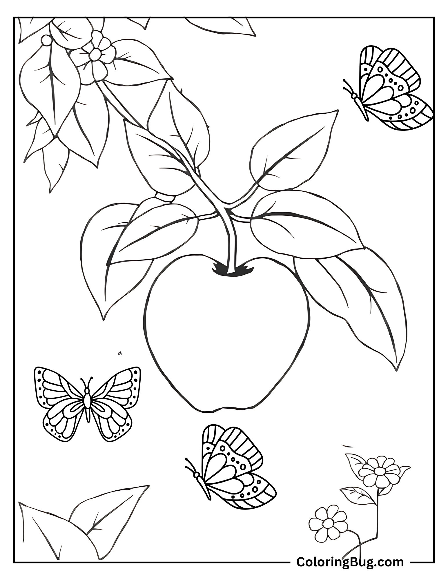 Apple With Butterflies Flying Nearby Coloring Sheet
