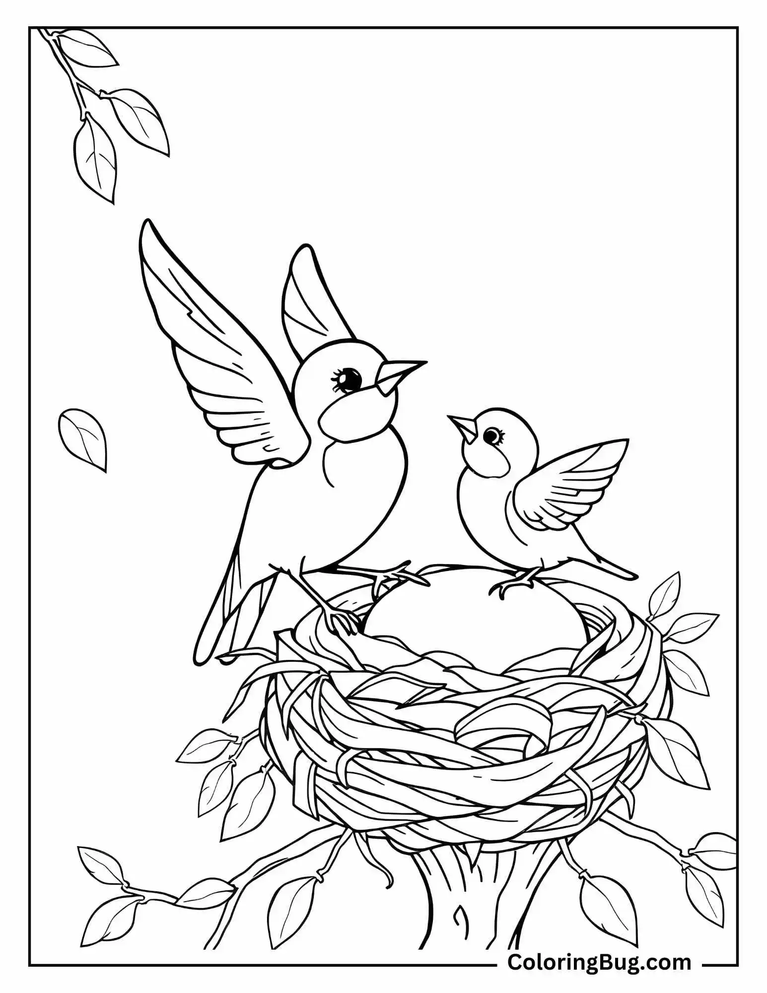 Baby Bird Learn to Fly With its Mother Coloring Sheet