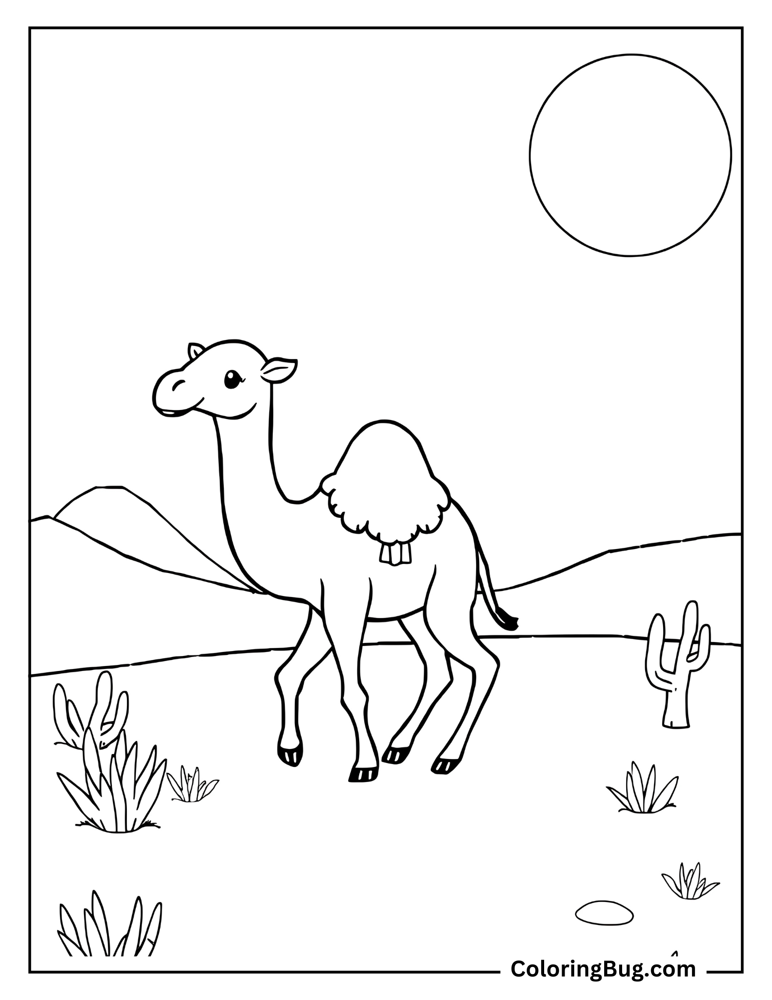 Baby Camel Walking Through the Desert Coloring Sheet