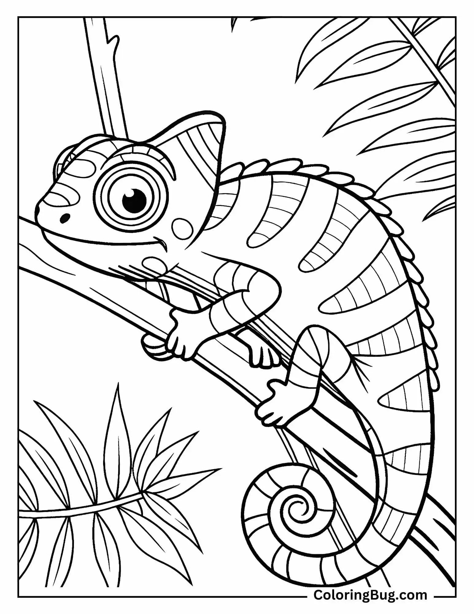 Baby Chameleon Changing Colors Coloring Sheet