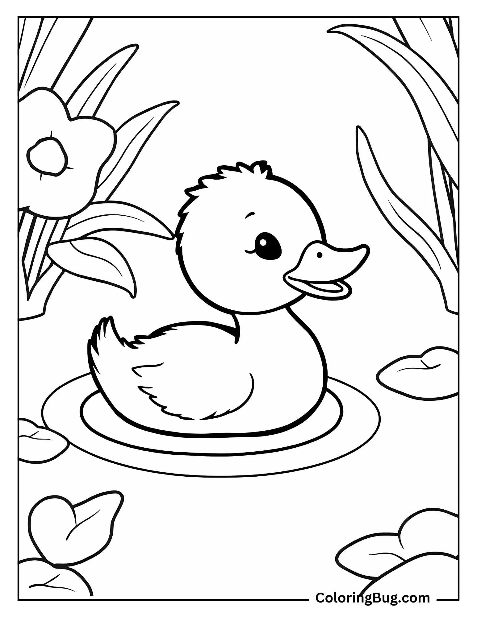Baby Duckling Swimming in Pond Coloring Sheet 