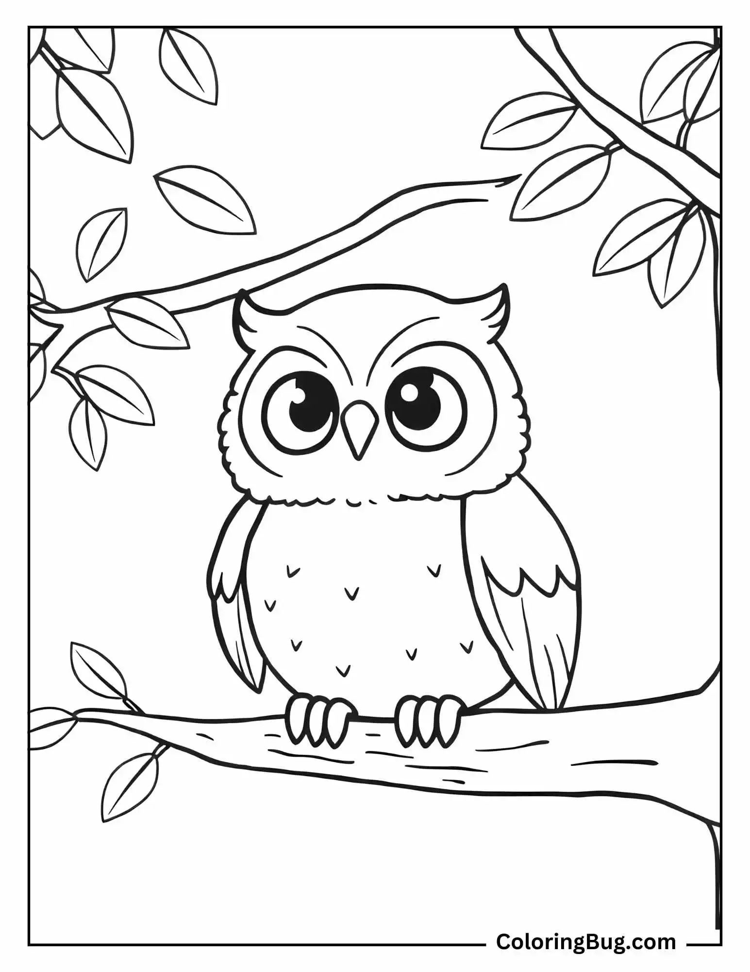 Baby Owl Sitting on Tree Branch Coloring Sheet