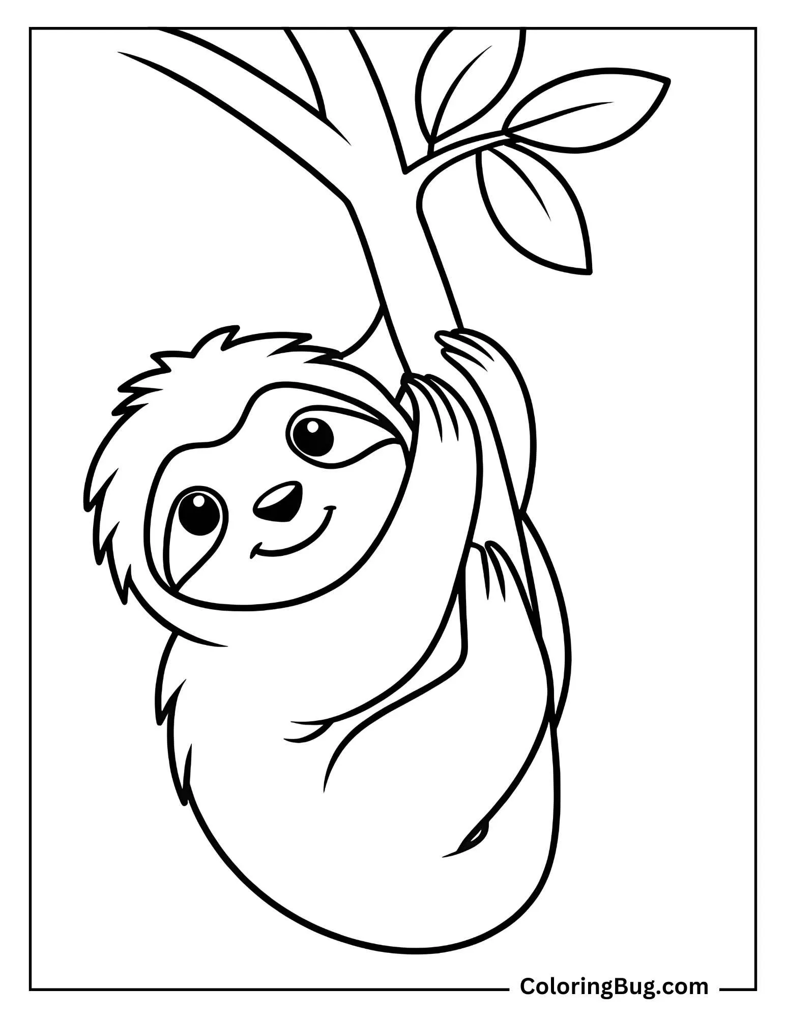 Baby Sloth Hanging From Tree Coloring Sheet