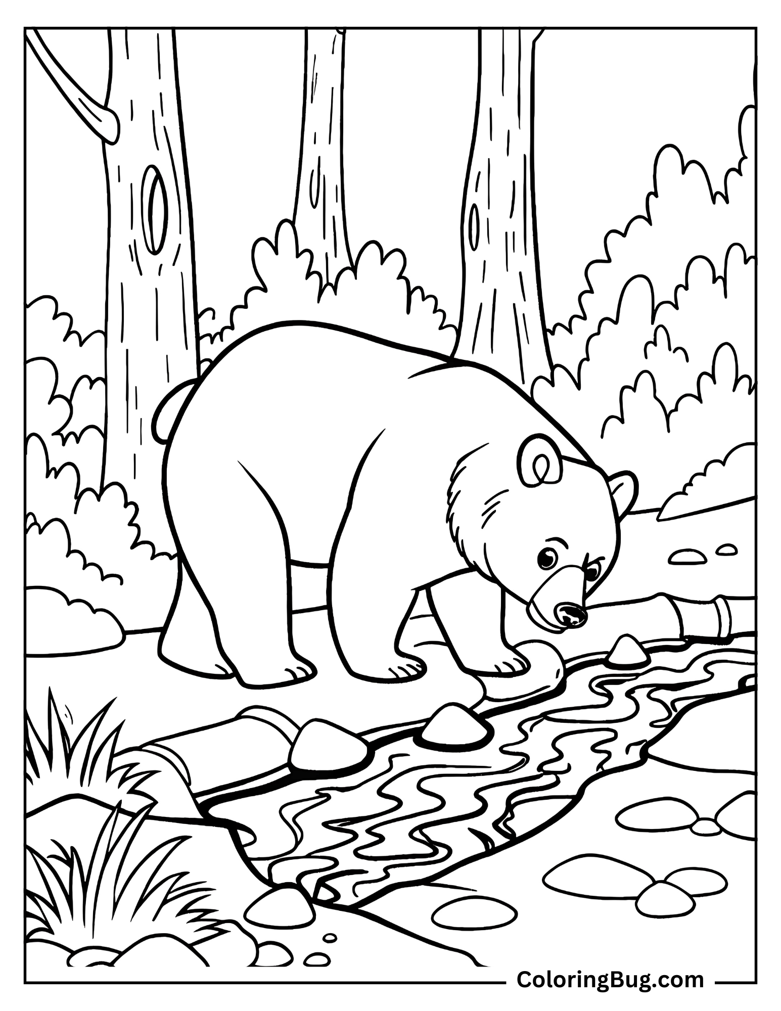 Bear Drinking Water From Stream Coloring Sheet