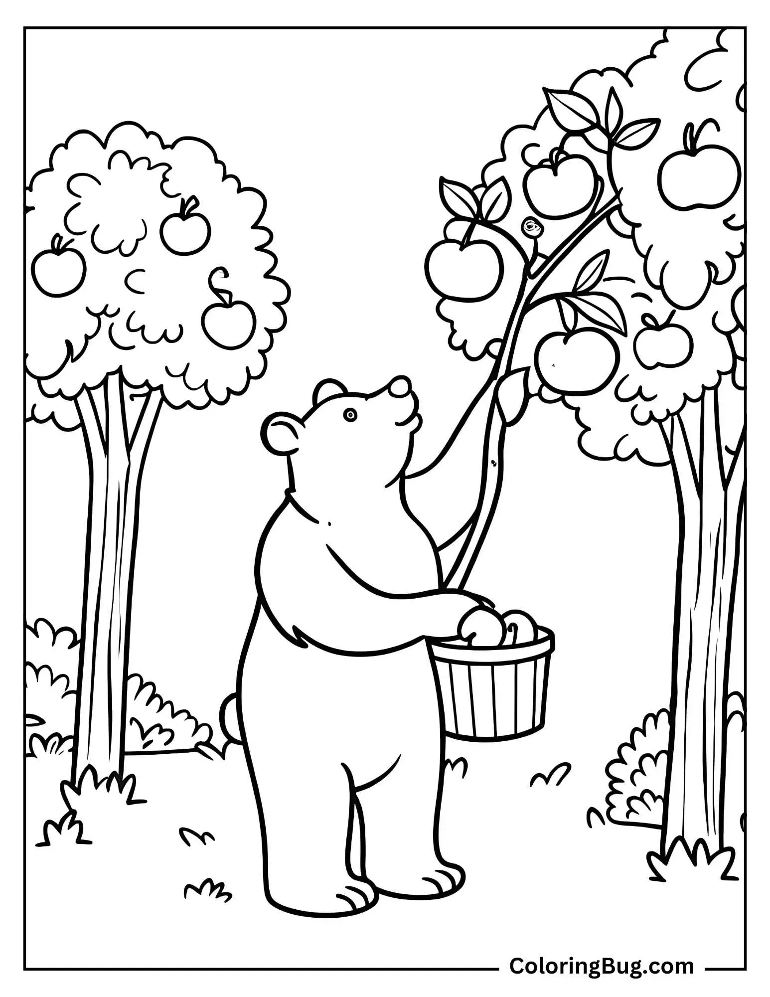 Bear Picking Apples in an Orchard Coloring Sheet