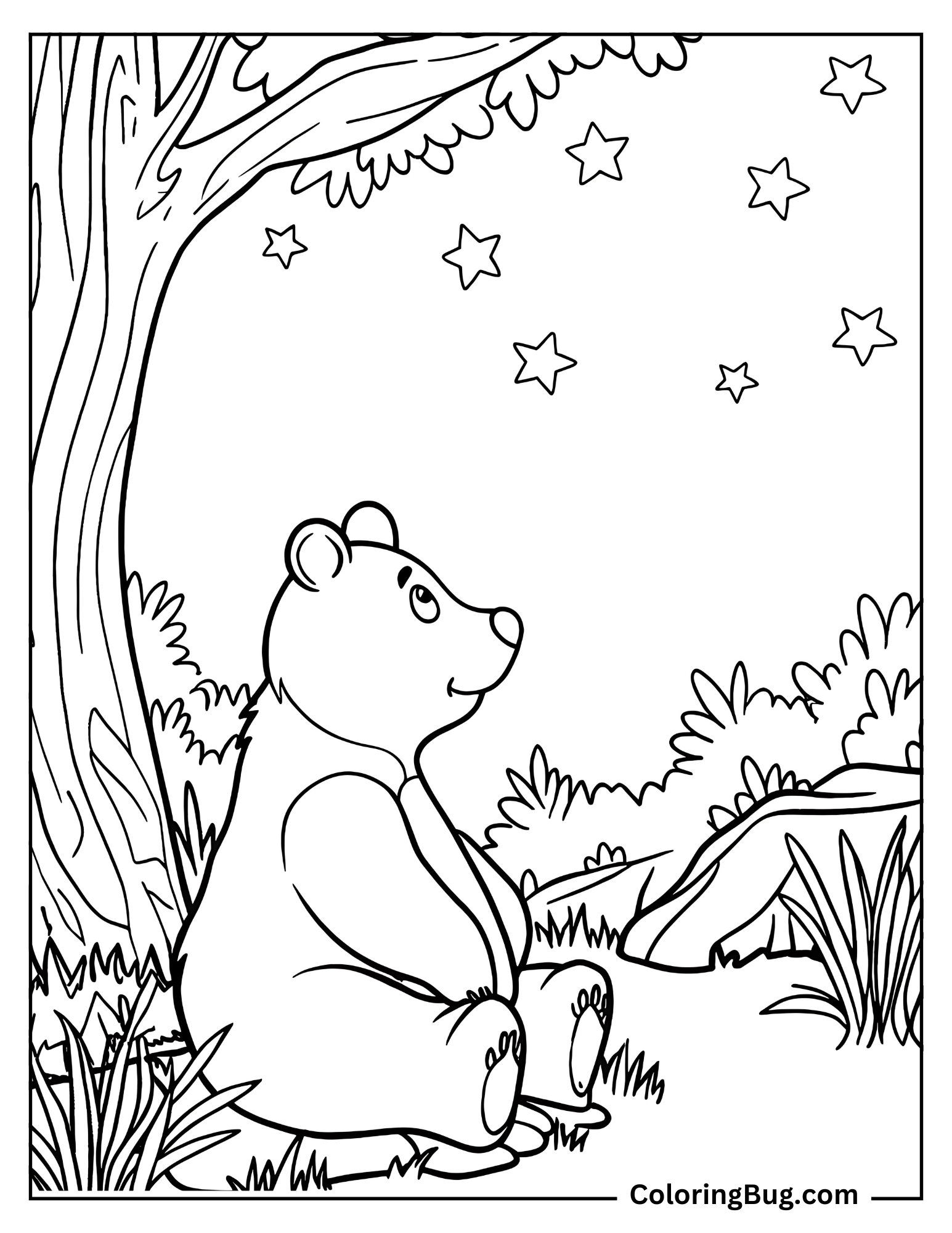 Bear Sitting Under Tree Watching Stars Coloring Sheet