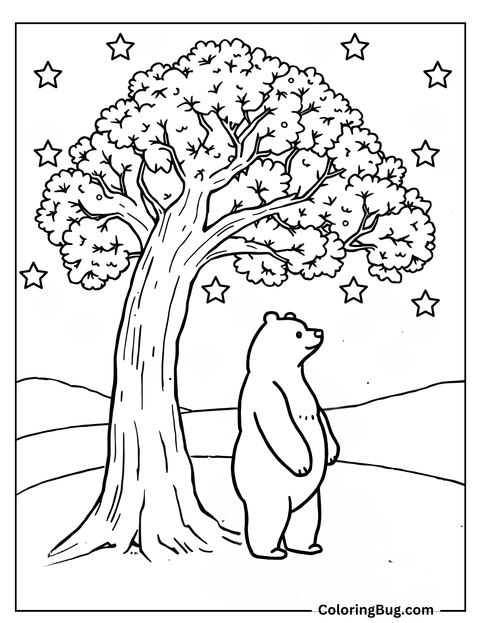 Bear Standing Under Tree Watching Stars Coloring Sheet