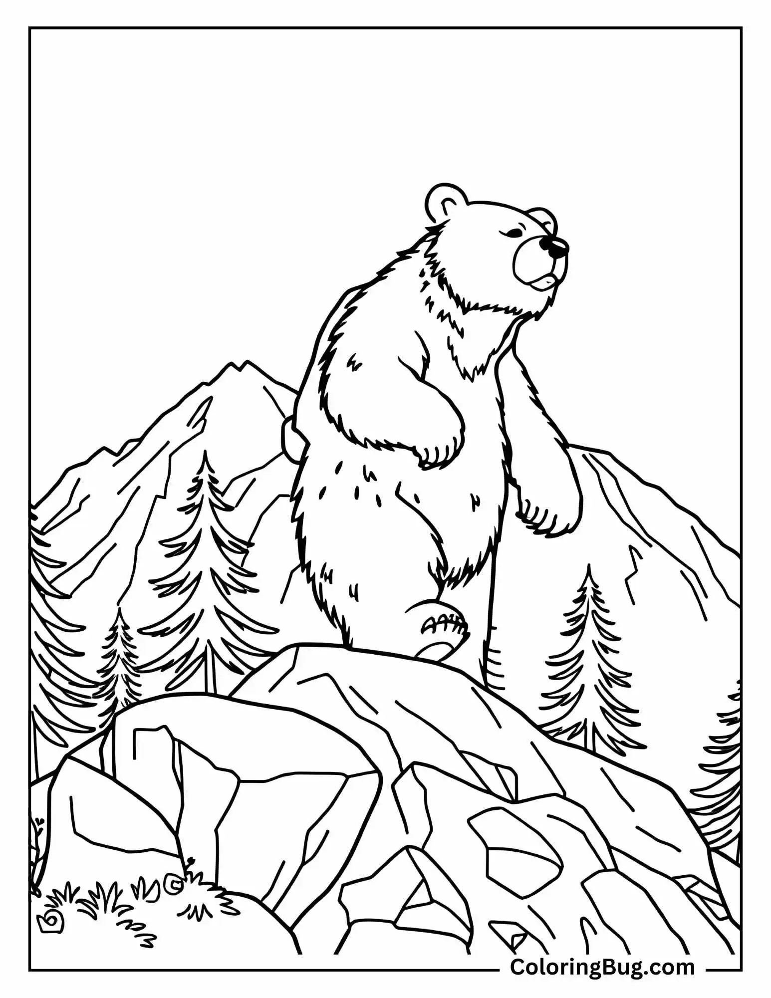 Big Adult Bear Standing on Mountain Coloring Sheet