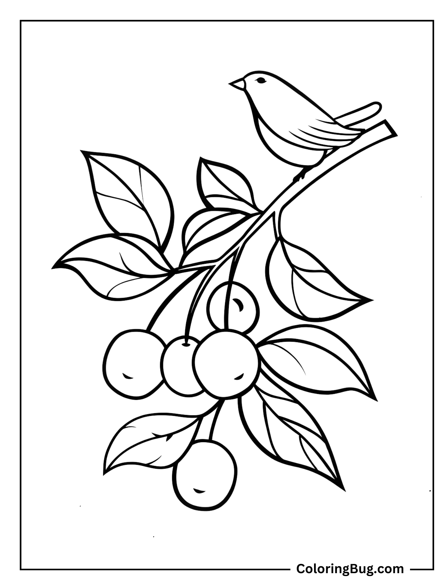 branch of cherries with a bird perched nearby