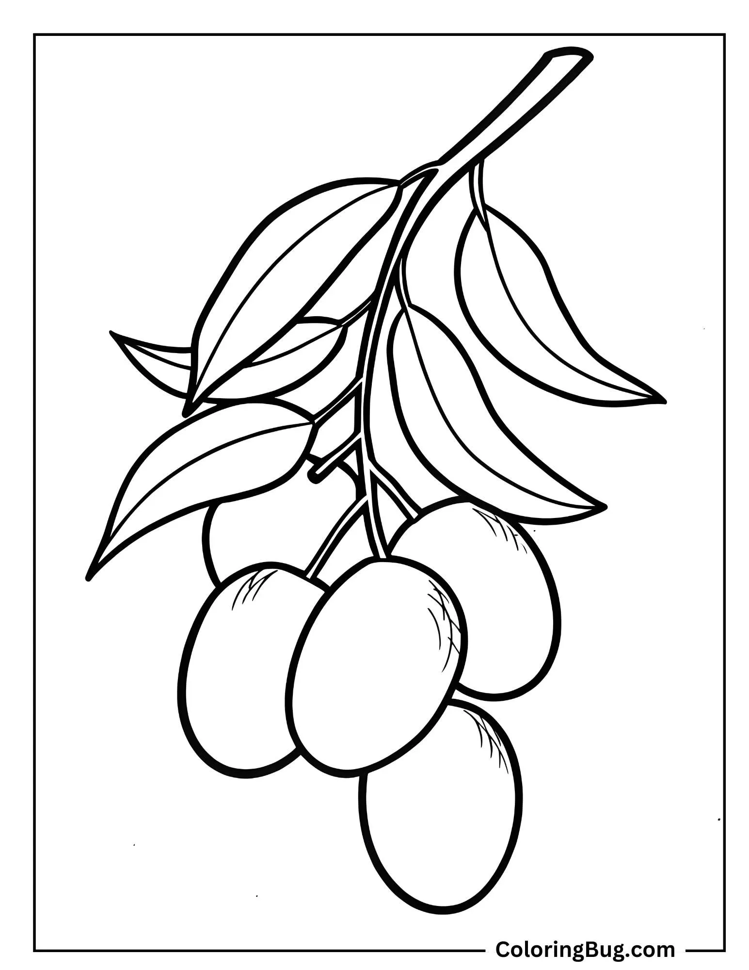 Bunch Of Mangoes Coloring Sheet