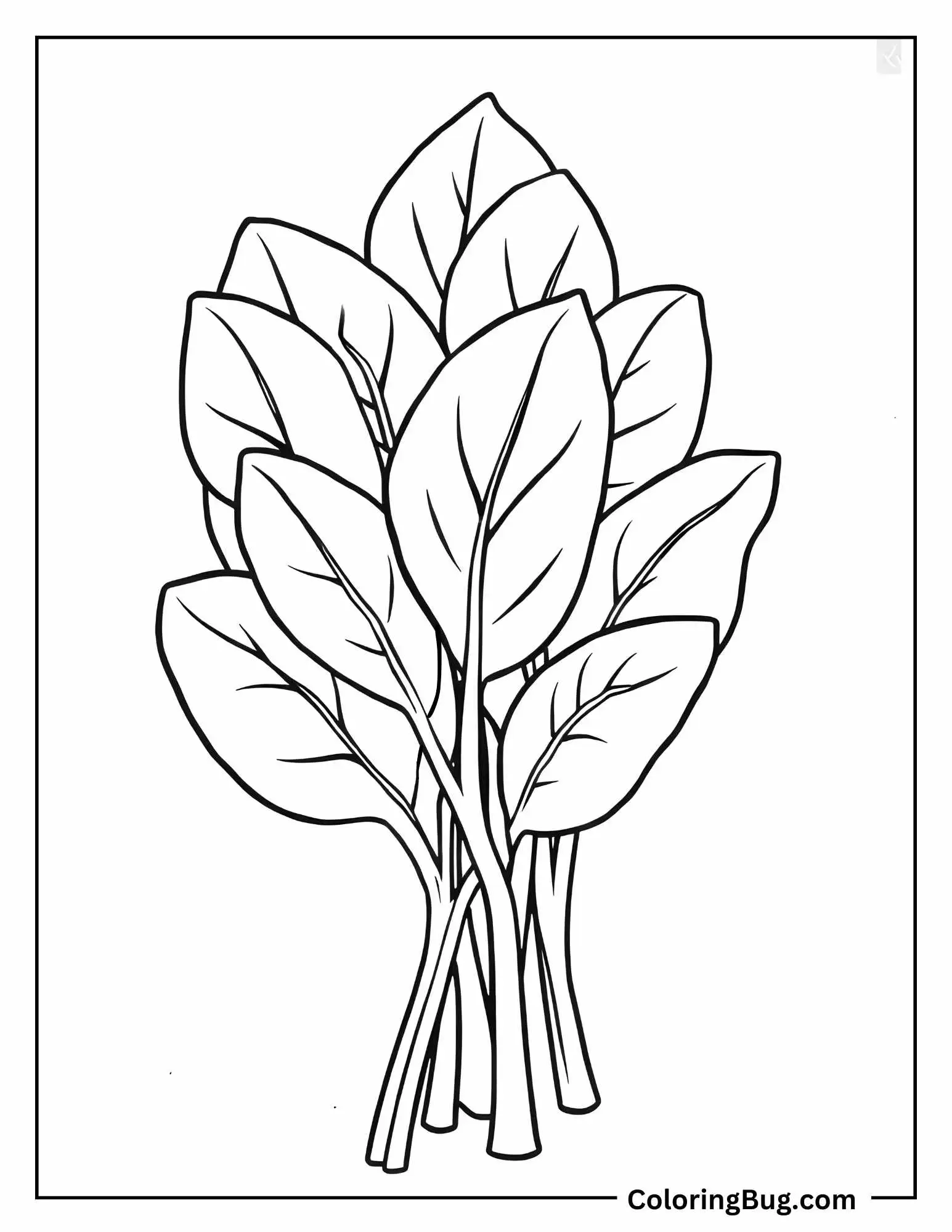 Bunch Of Spinach Leaves Coloring Sheet