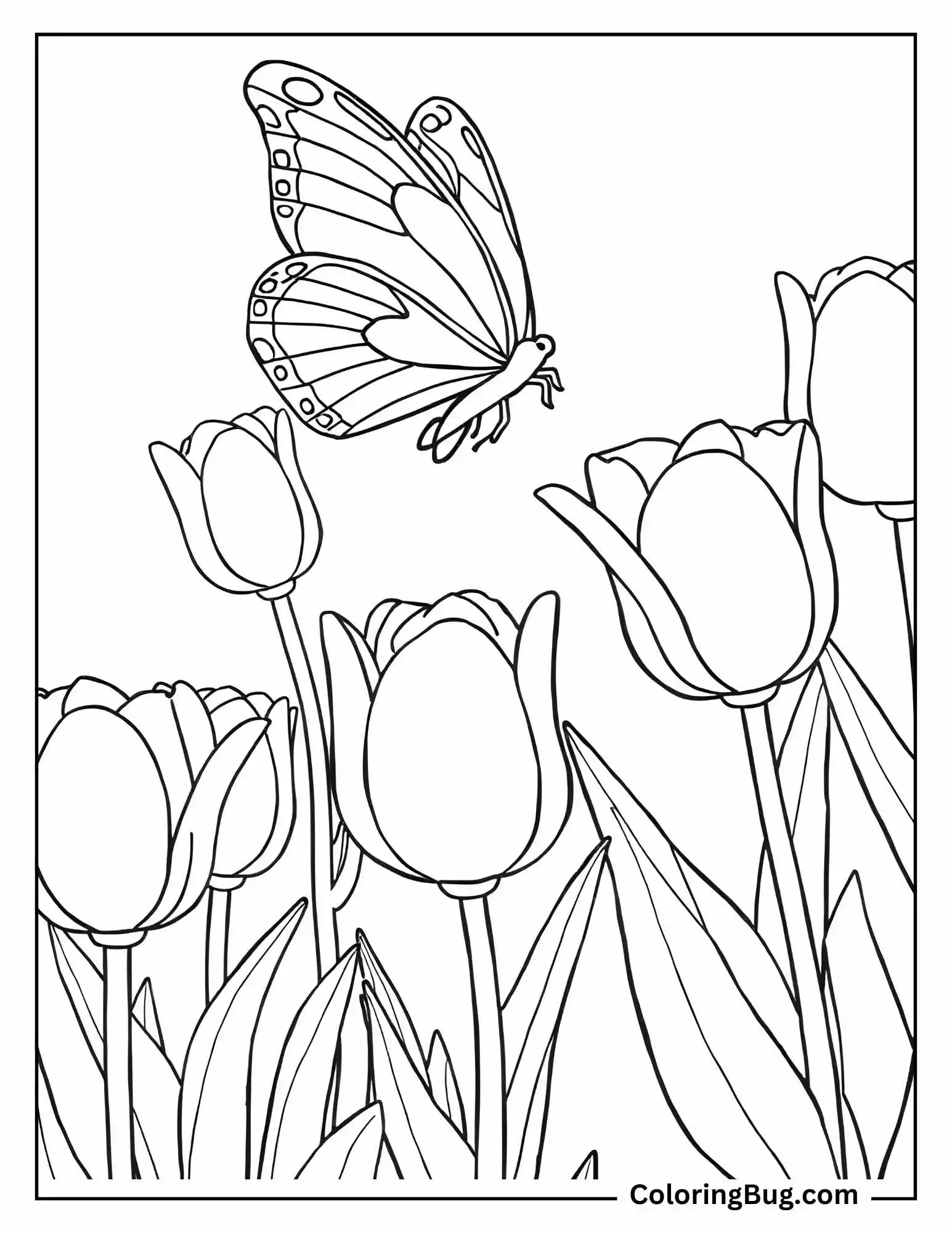 Butterfly Soaring Above Tulips Coloring Sheet