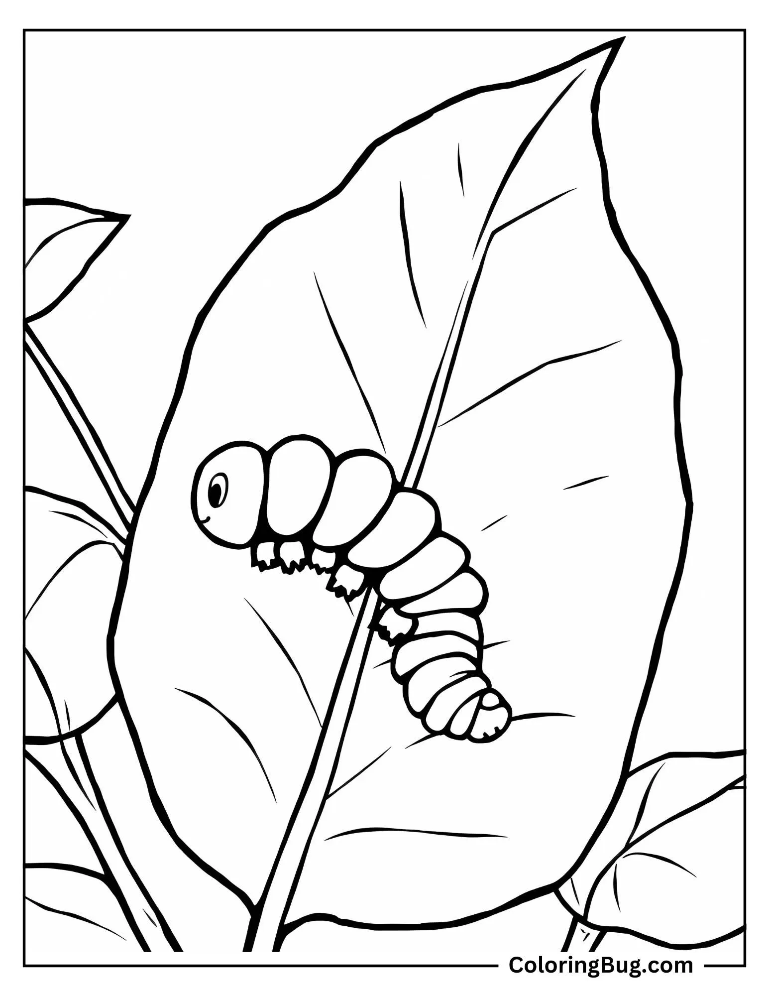 Caterpillar on Leaf coloring Sheet
