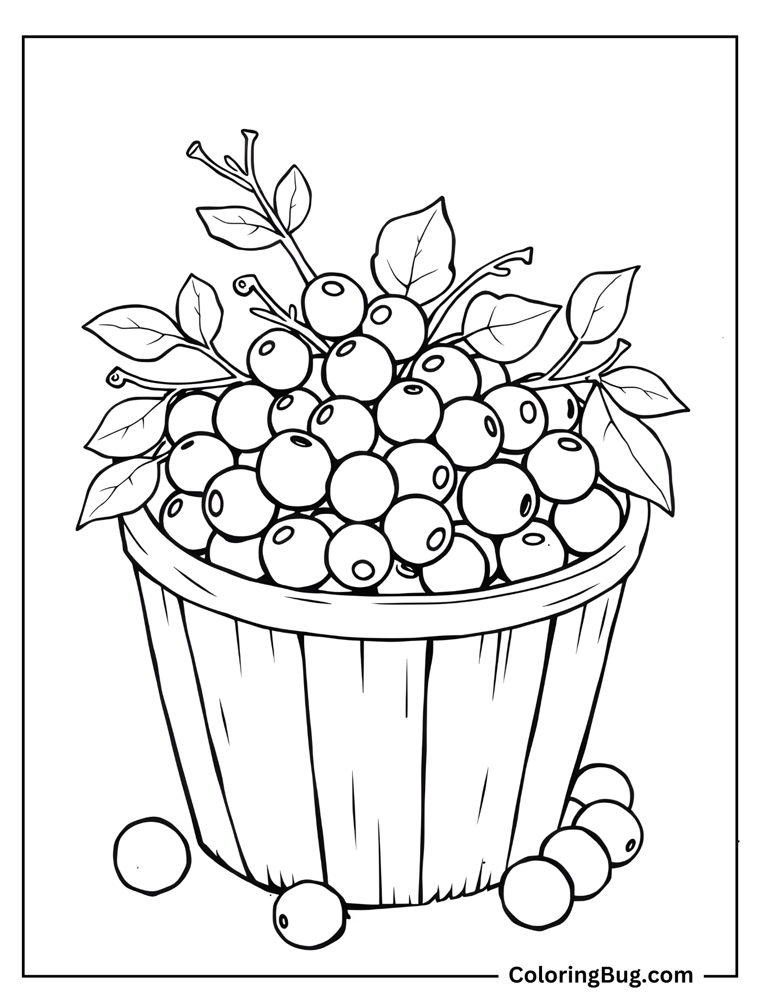 Cranberries In Bucket Coloring Sheet