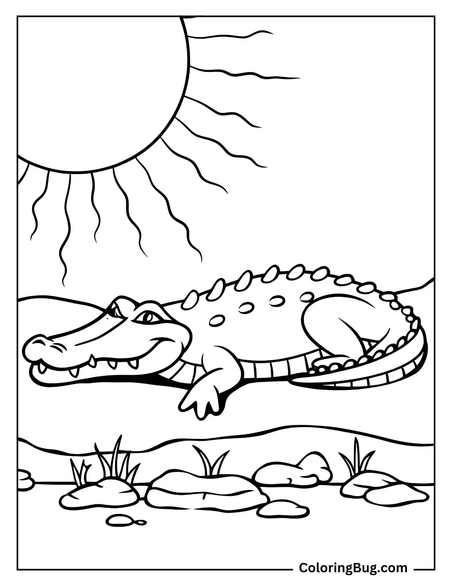 Crocodile Relaxing Under Sun Coloring Sheet