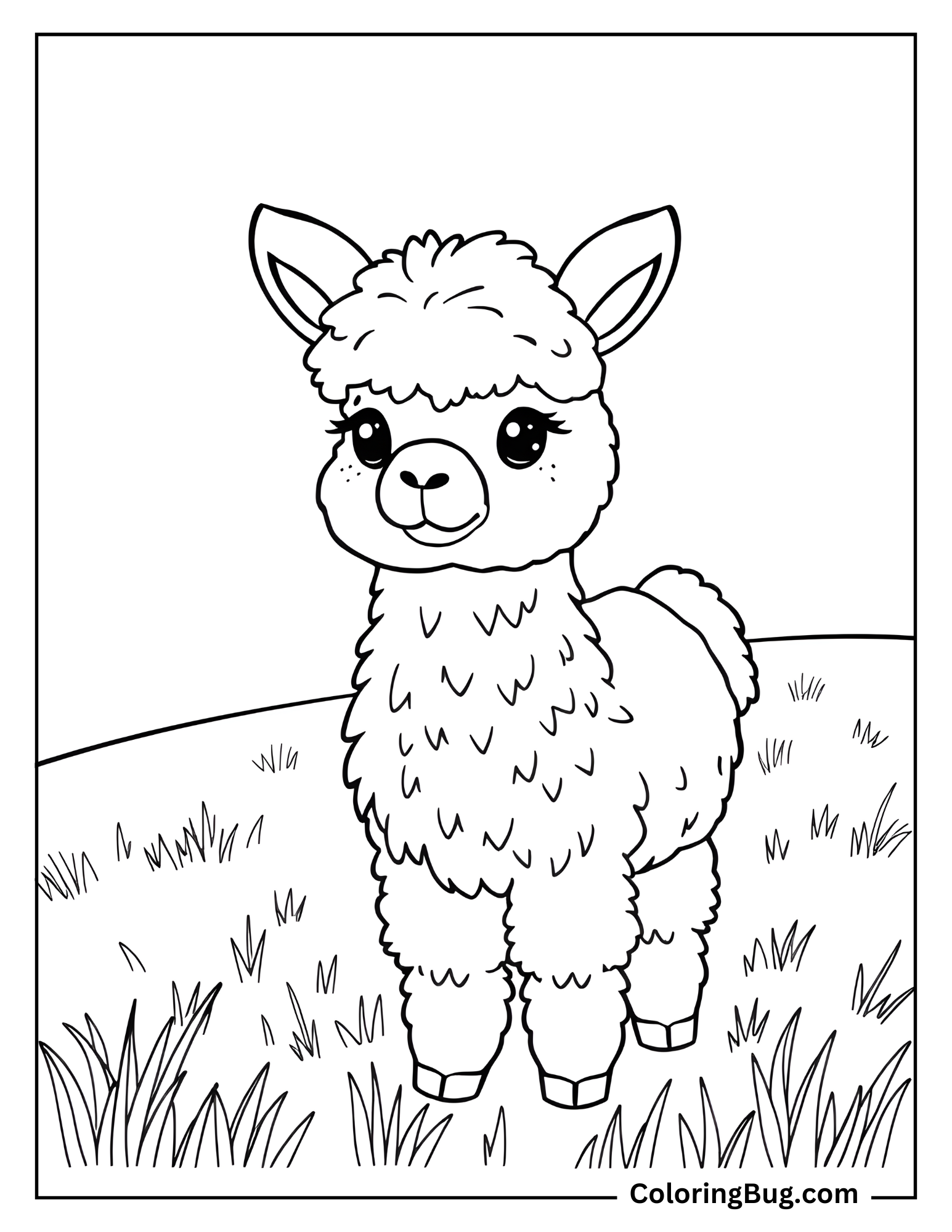 Cute Alpaca on a Field coloring Sheet
