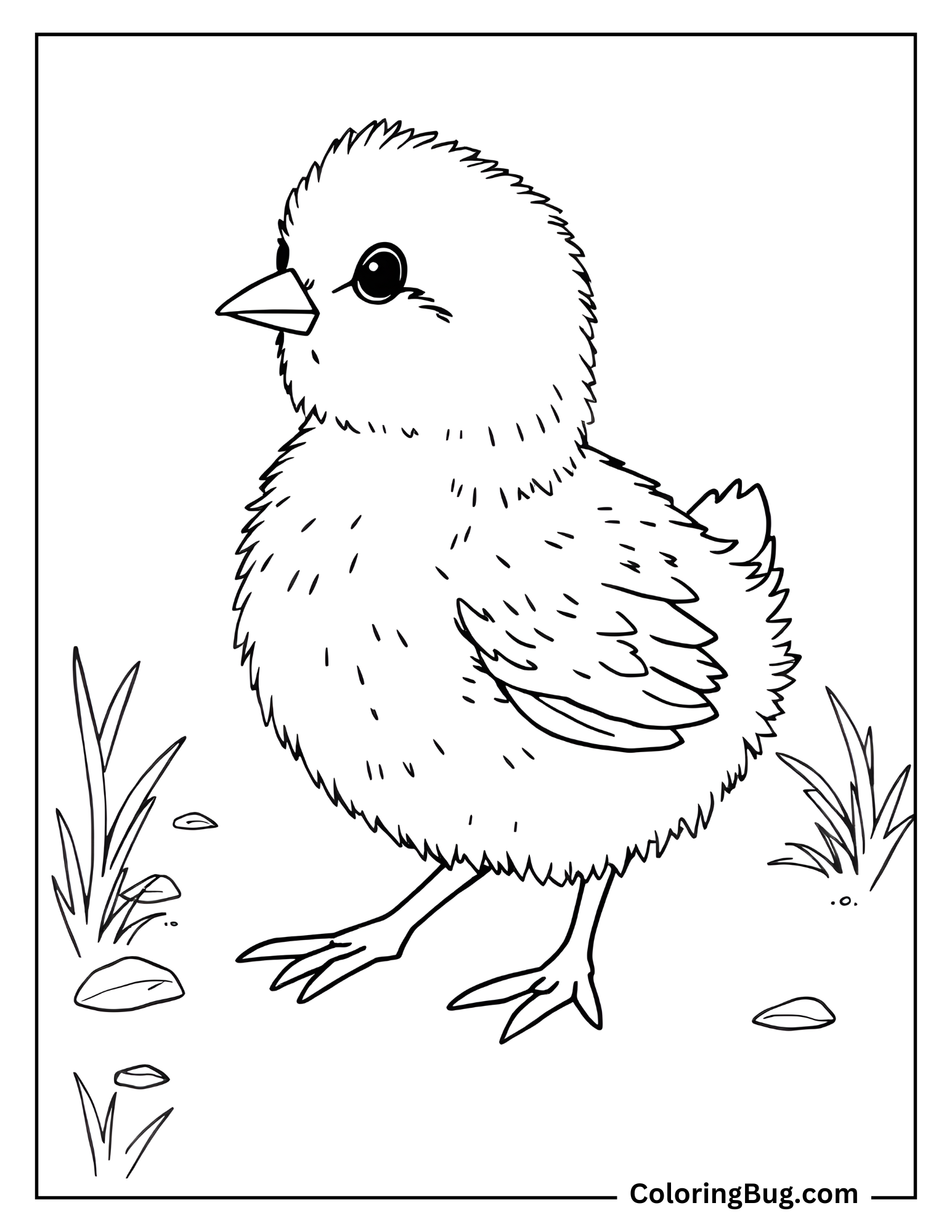 Cute Baby Chick coloring Sheet