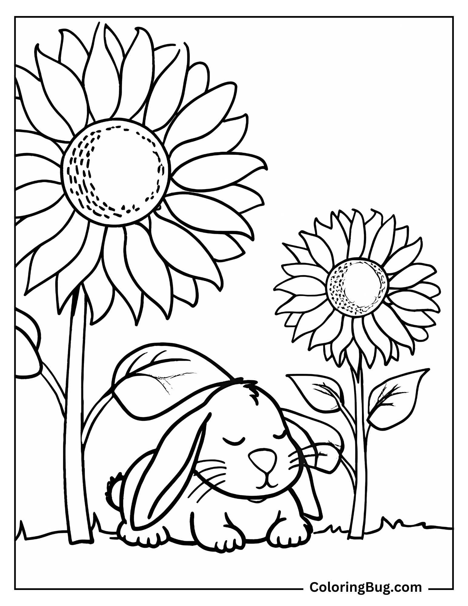 Cute Rabbit Resting Under Big Sunflower coloring Sheet
