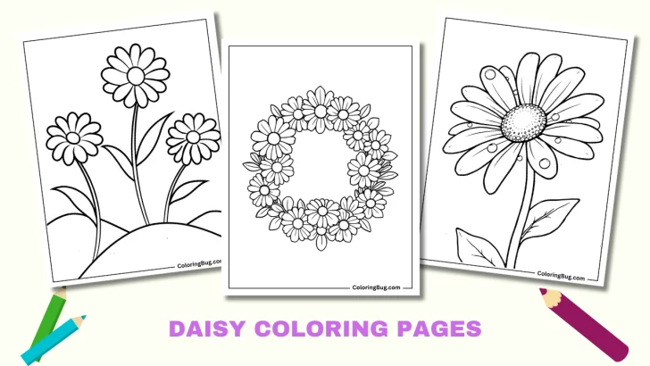 Daisy Coloring Pages