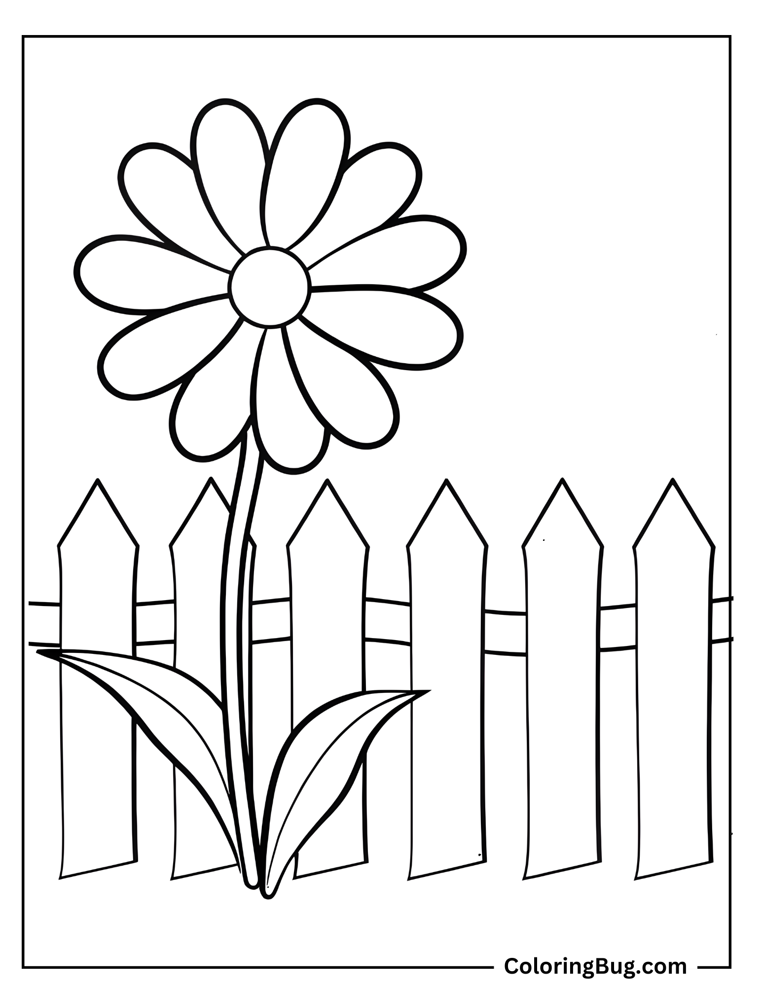 Daisy Growing Along The Fence Coloring Sheet