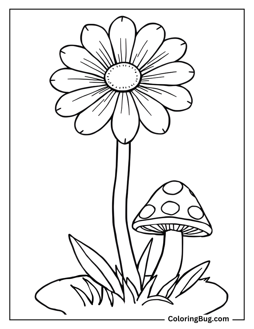 40 Daisy Flowers Coloring pages (Free printable PDFs)