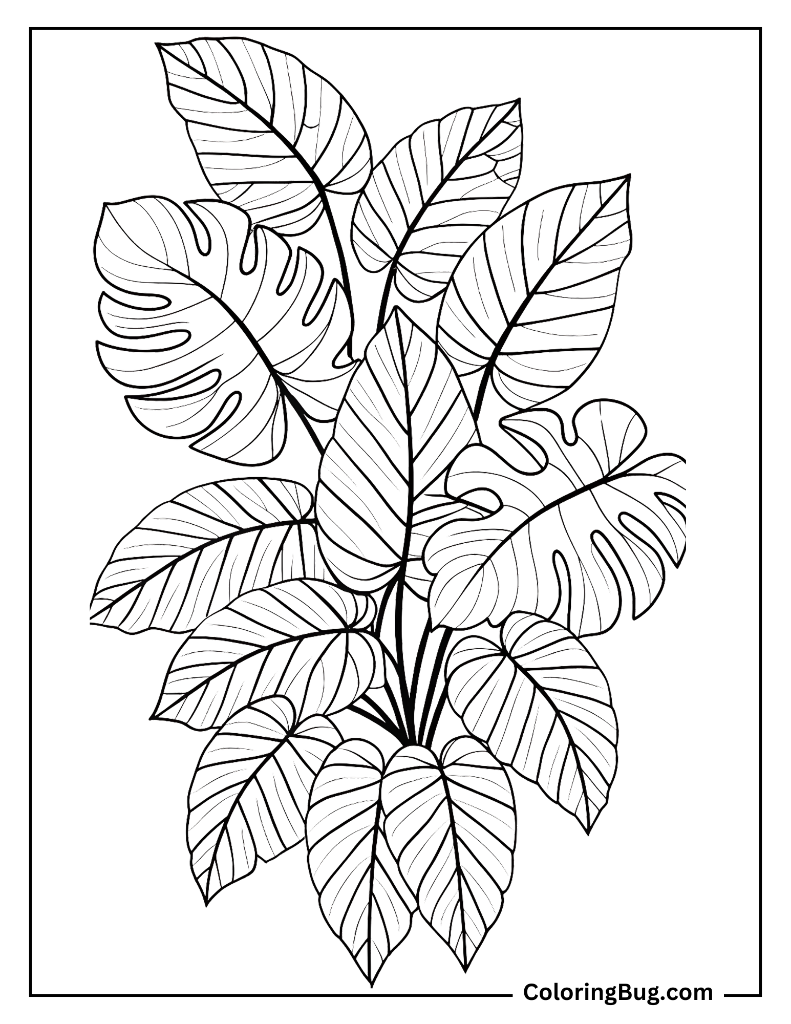 Detailed Leaves With Intricate Design Coloring Sheet