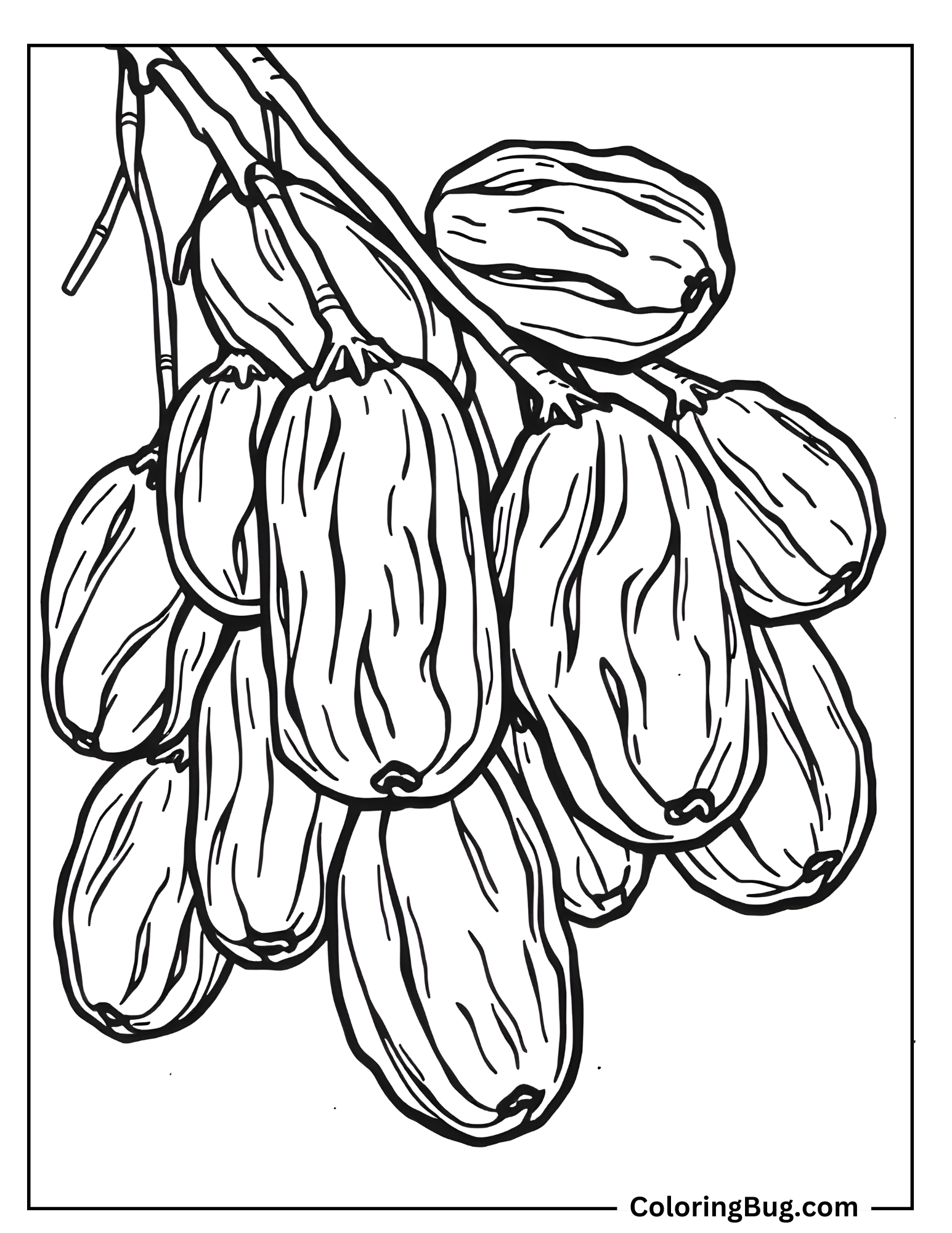 Dried Dates Coloring Sheet