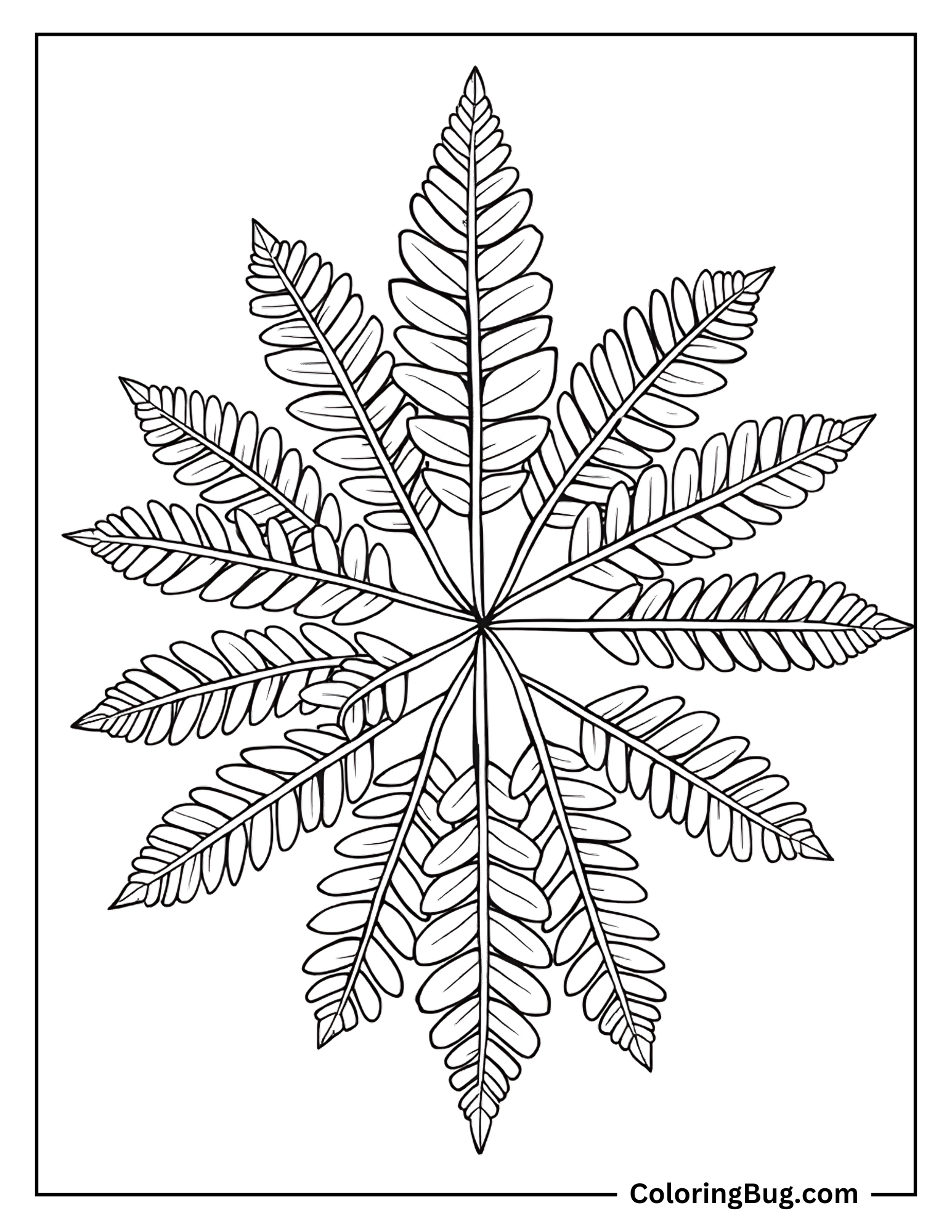 Fern Leaves Arranged in Circular Pattern Coloring Sheet