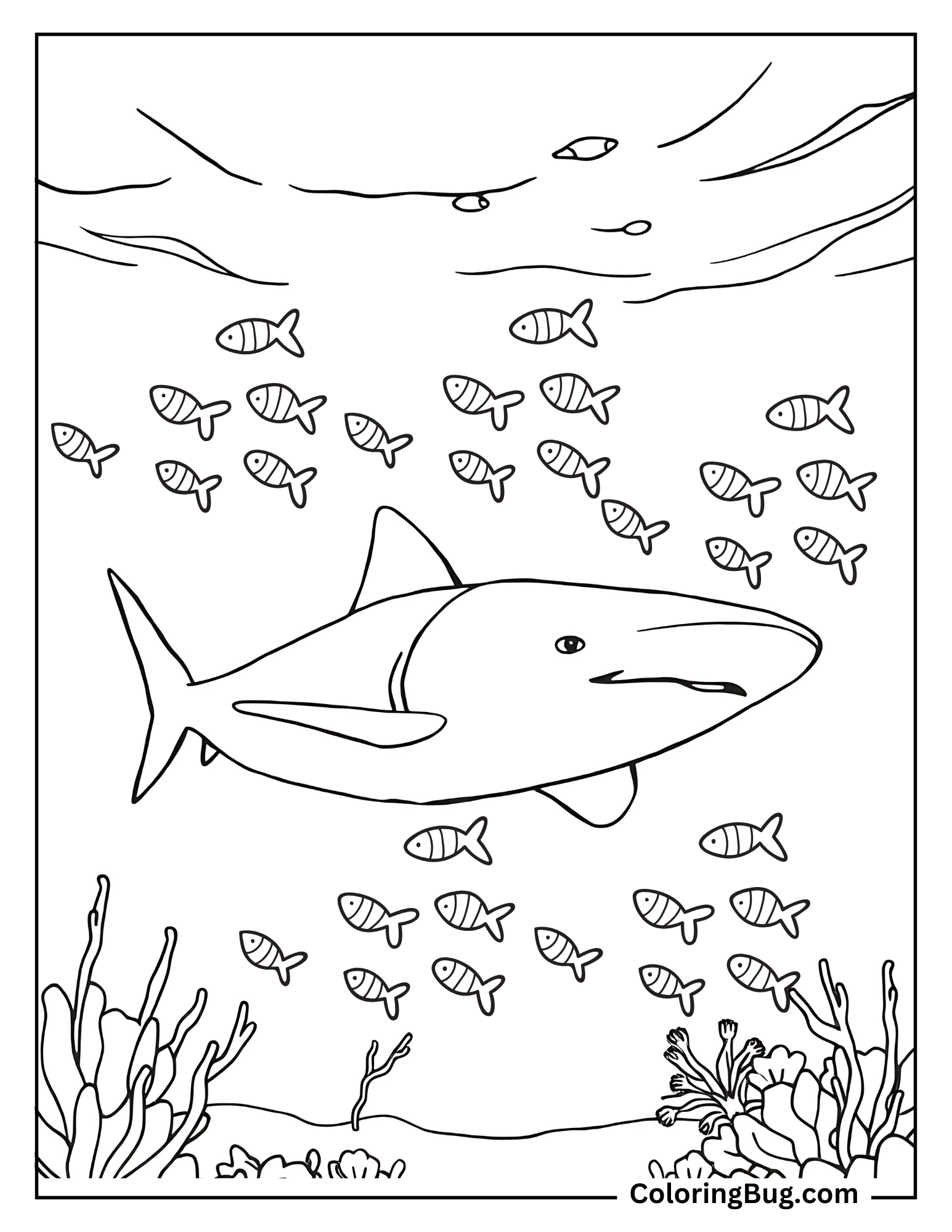 Giant Whale Shark Swimming In Ocean Surrounded By Tiny Fishes  Coloring Sheet