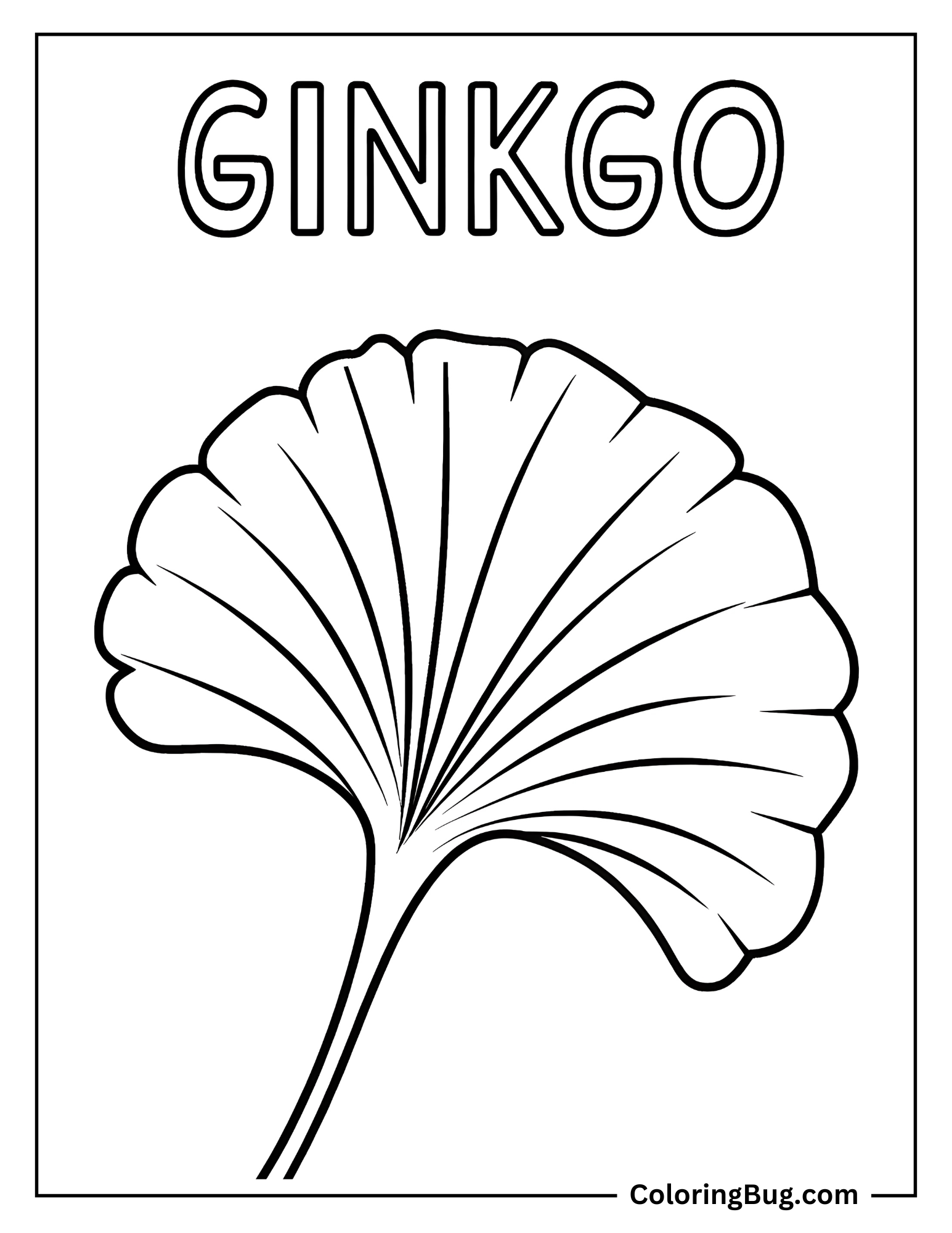 Ginkgo Leaf Coloring Sheet