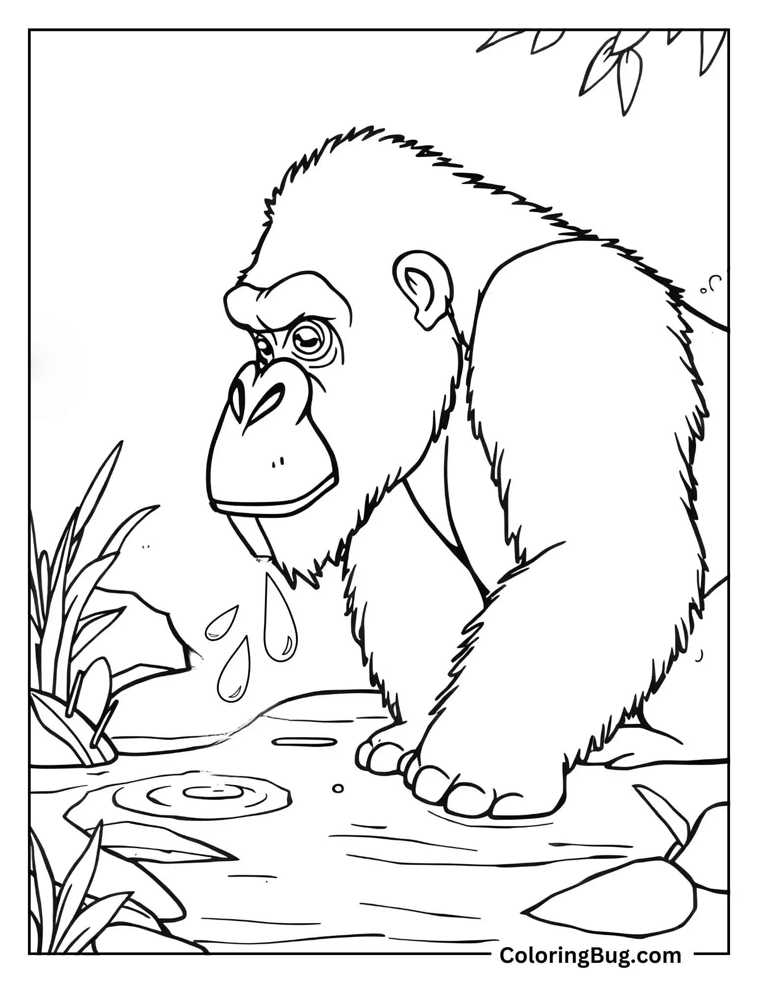 Gorilla Drinking Water From a River Coloring Sheet